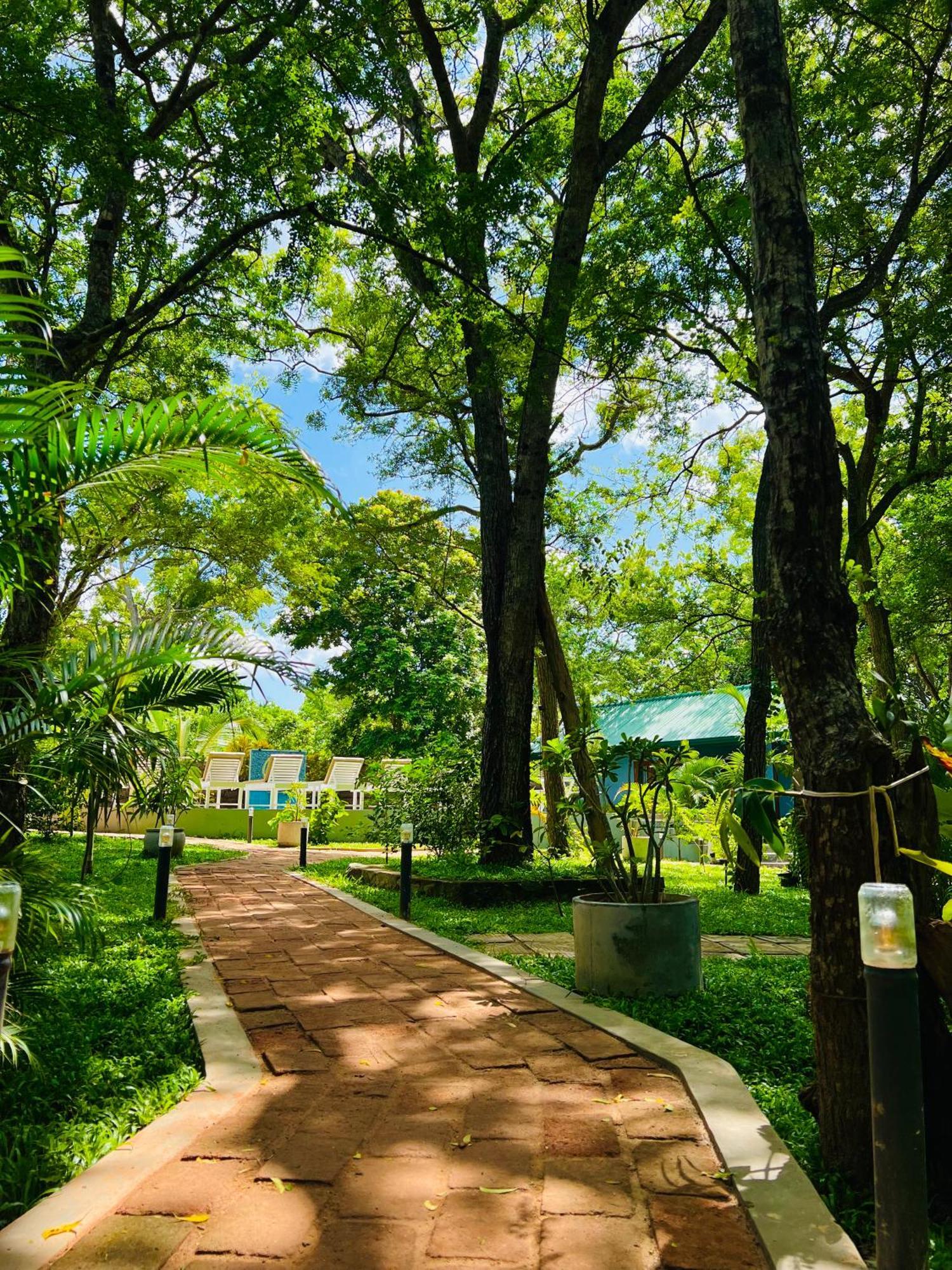Maritime Nest Cabanas Tangalle Eksteriør bilde