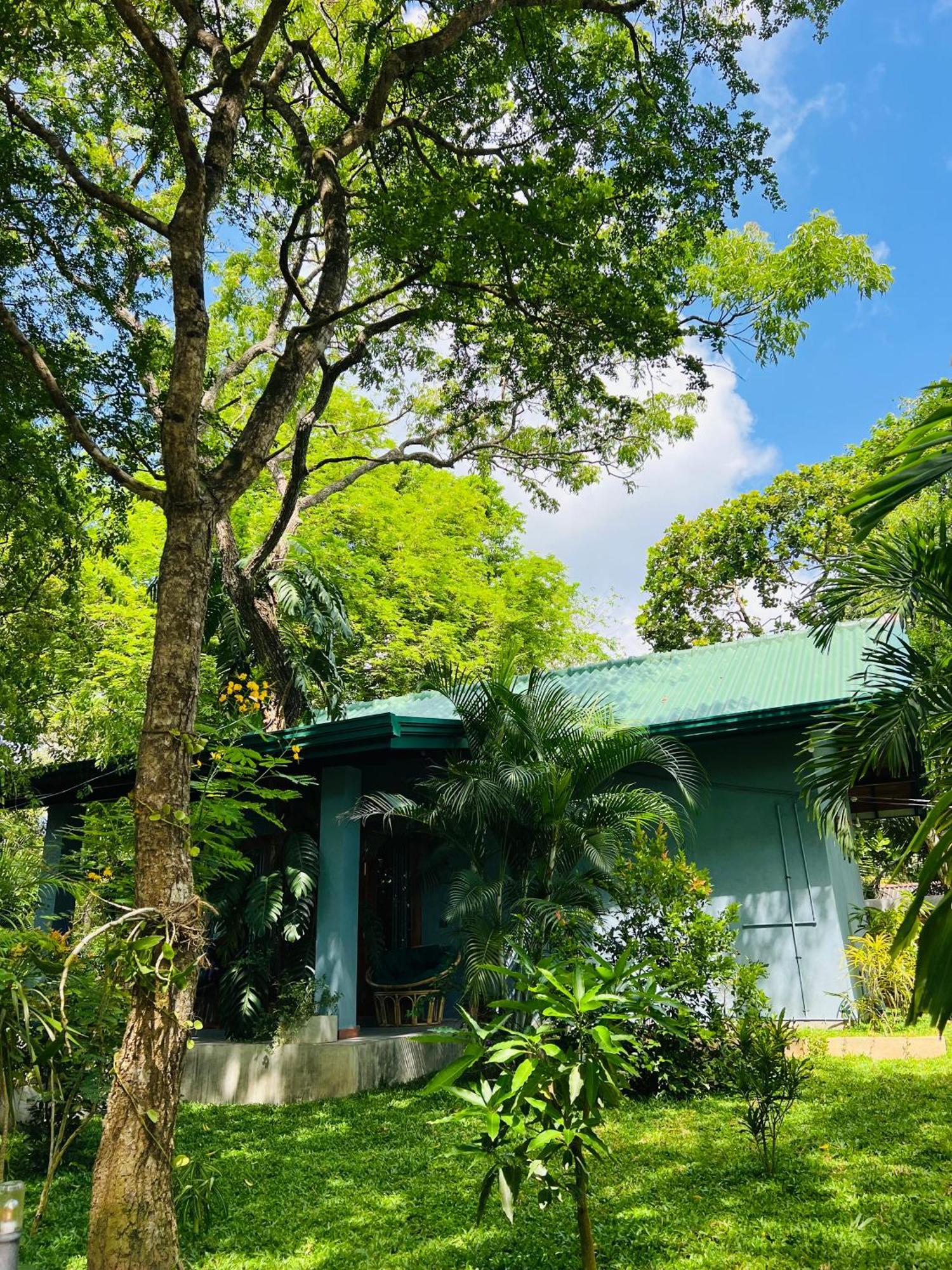 Maritime Nest Cabanas Tangalle Eksteriør bilde